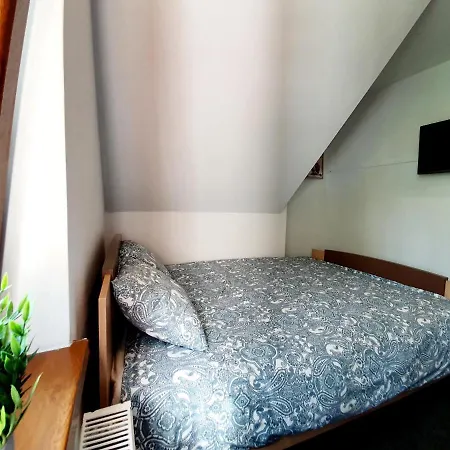 Villa Rabbit 소포트