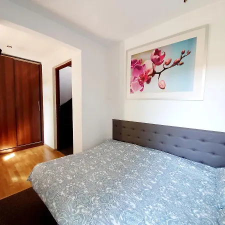 Villa Rabbit 소포트