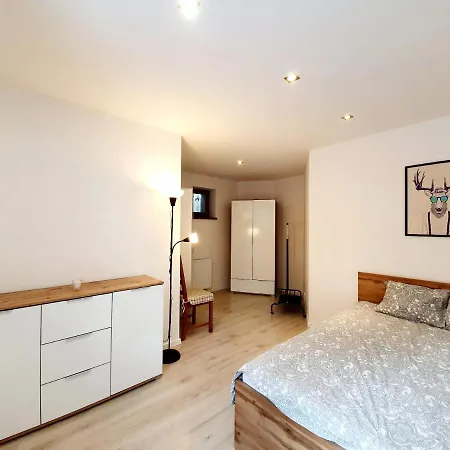 Villa Rabbit 소포트